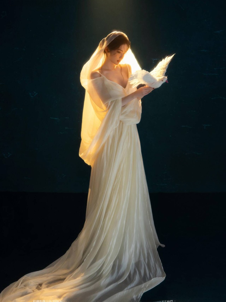 2026 New Pure Desire Art Photo - Photography Lighting For Clothing recension och pris