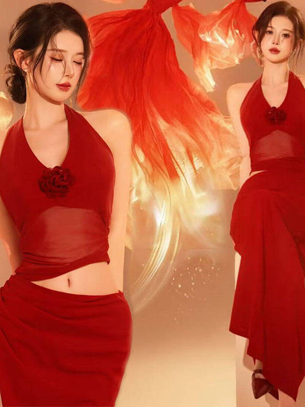Red New Year Photography Costu - Photography Lighting For Clothing recension och pris