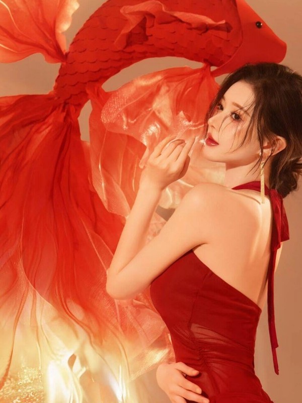 Red New Year Photography Costu - Photography Lighting For Clothing recension och pris