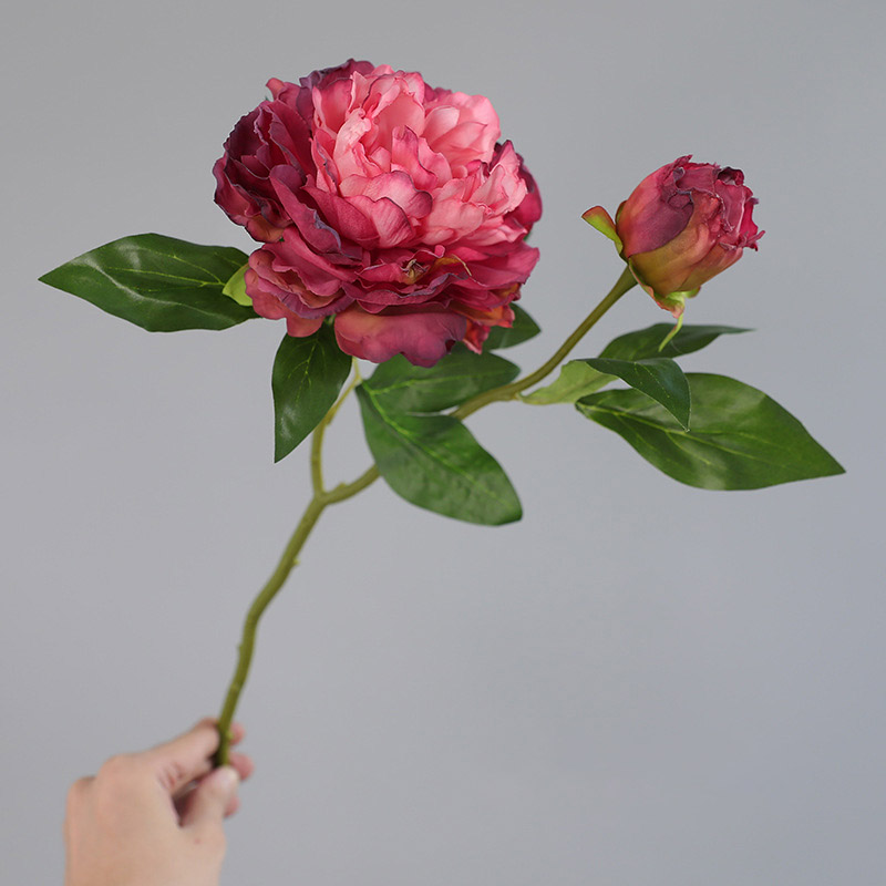 1PC Retro 2 Head Peony Simulat - Photography Lighting Simulator Free recension och pris